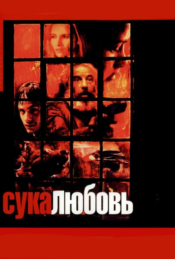 Фильм Сука-любовь (2000) смотреть онлайн в качестве FHD